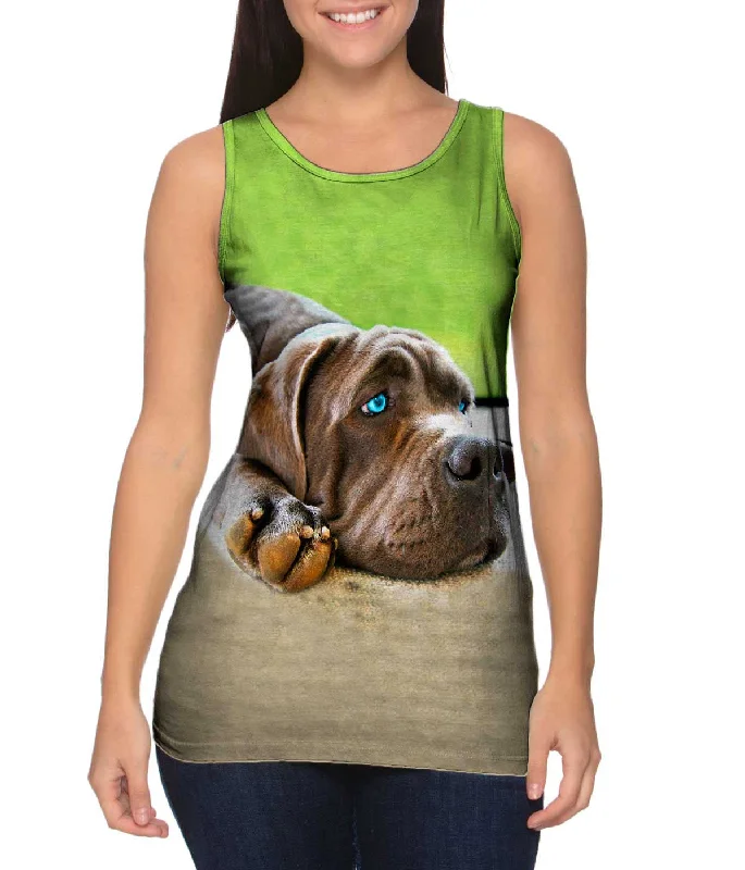 Dressing Tips Lucy Sad Mastiff