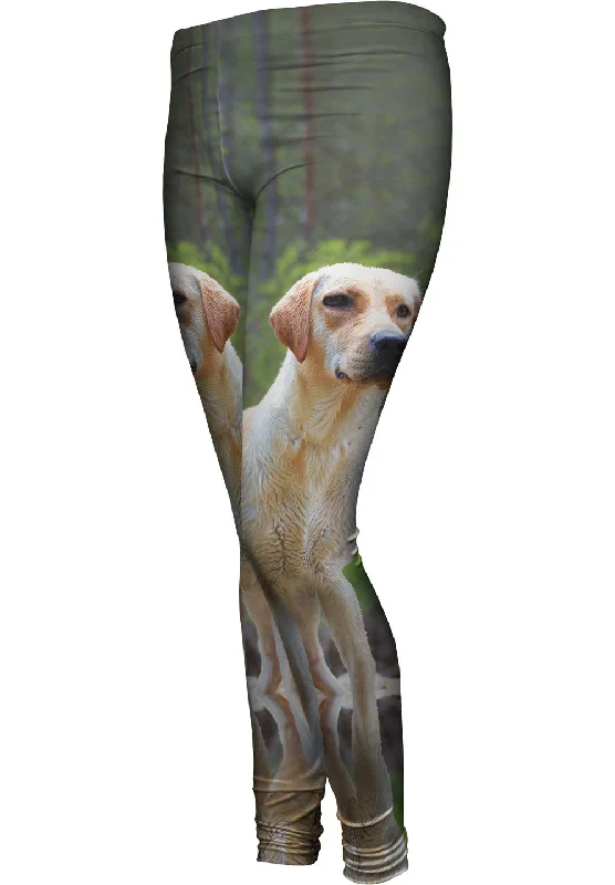 Energy Wear Fearless Hunter Golden Retriever